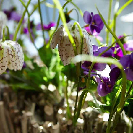 Отель Sauerlacher Post 3*