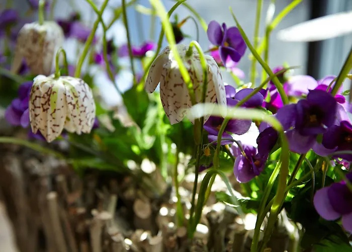 Ξενοδοχείο Sauerlacher Post 3*